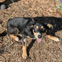 Photo of 🧨 Darragh 6114 🧨