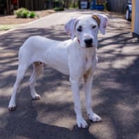 Photo of Spirit