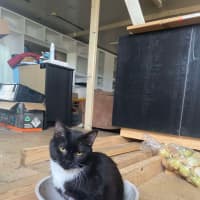 Photo of Nibbles & Moth