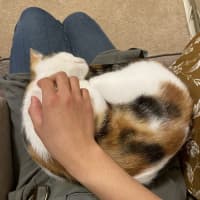 Photo of Mimi