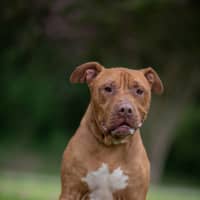 Photo of Bronx
