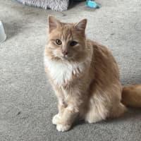 Photo of Ricardo Silvanus