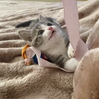 Photo of Minnie Mimi