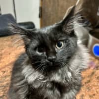 Photo of Lumos   Located In Lower Plenty