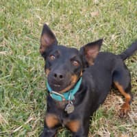 Photo of Winona (Aka Winnie) 