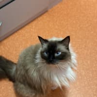 Photo of Lacie