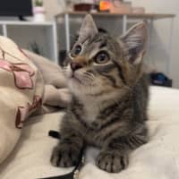 Photo of Sparky