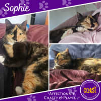 Photo of Sophie