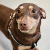 Photo of 🥨 Hilde 5390 🥨