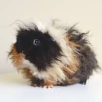 Photo of Miss Mumbles