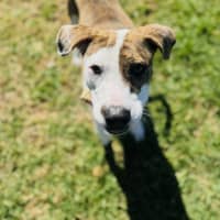 Photo of Addie