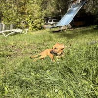 Photo of Gabby
