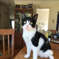 Photo of Felix