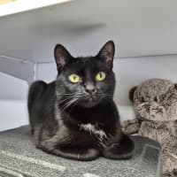 Photo of Betty