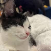 Photo of Maggie