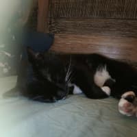 Photo of Mr Moustache