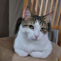 Photo of Leo