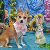 Photo of Gretel
