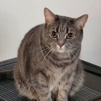 Photo of Luna