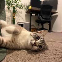 Photo of Gus