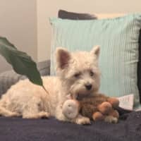 Photo of Lily Peggotty