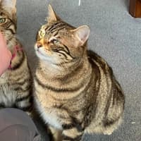 Photo of Sugar