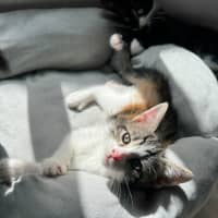 Photo of Clara