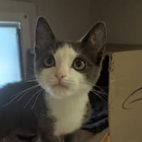 Photo of Clementine