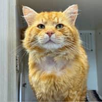 Photo of Gary