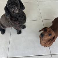 Photo of Lucy And Stanley