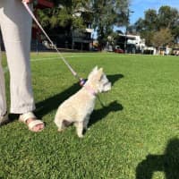 Photo of Lily Peggotty