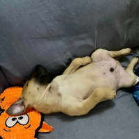 Photo of Happy