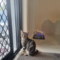 Photo of Axel And Aria