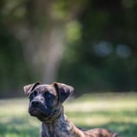 Photo of Maggie