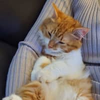 Photo of Leo