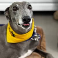 Photo of Winnie 