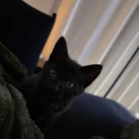 Photo of Billy