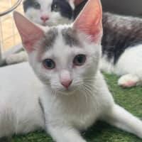 Photo of Verity & Solace