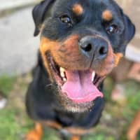 Photo of Harlo 