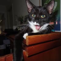 Photo of Mercury K33