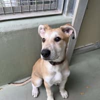 Photo of Daisy