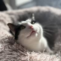 Photo of Bernie