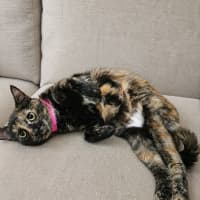 Photo of Sabrina