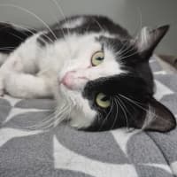 Photo of Maurice