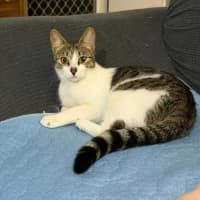 Photo of Abby