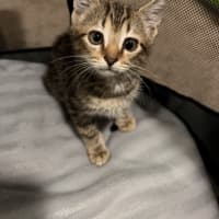 Photo of Tim Tam