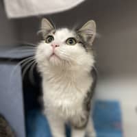 Photo of Haru