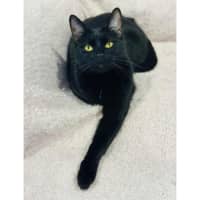 Photo of 12528   Sophia