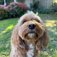 Photo of Winston Quinell