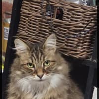 Photo of Bon Bon